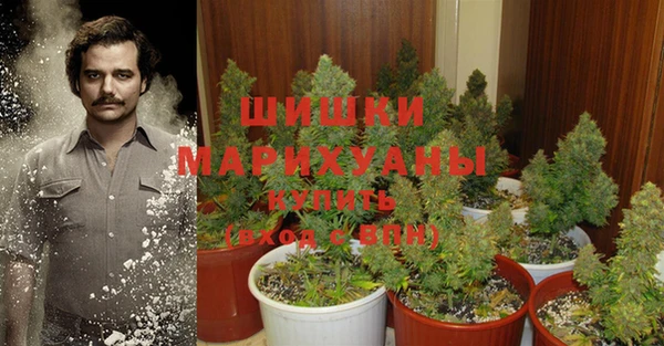 молекула духа Апатиты