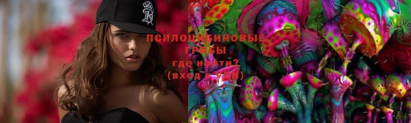 молекула духа Апатиты