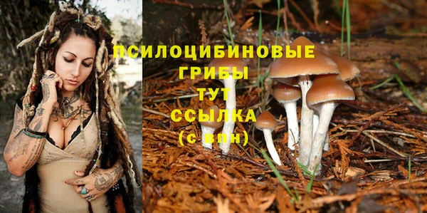 гидра Анива