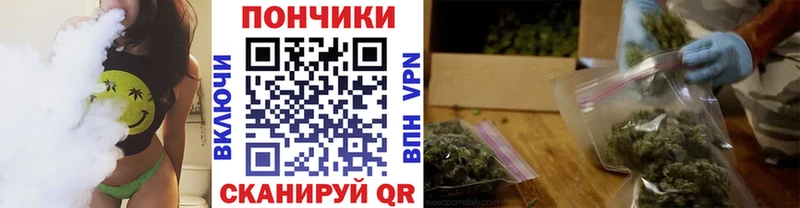 Бошки марихуана VHQ  наркошоп  Волгореченск 